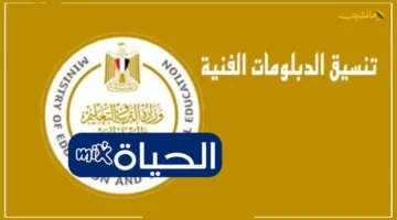 لضمان قبولك.. تنسيق الدبلومات الفنية 2025 دليل تسجيل الرغبات إلكترونيًا خطوة بخطوة 1